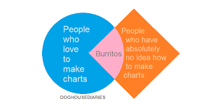 A Venn Diagram made of a circle intersecting a square. In the circle is written "People who love to make charts." In the Square is written "People who have absolutely no idea how to make charts." And at the intersection of the two: "Burritos".